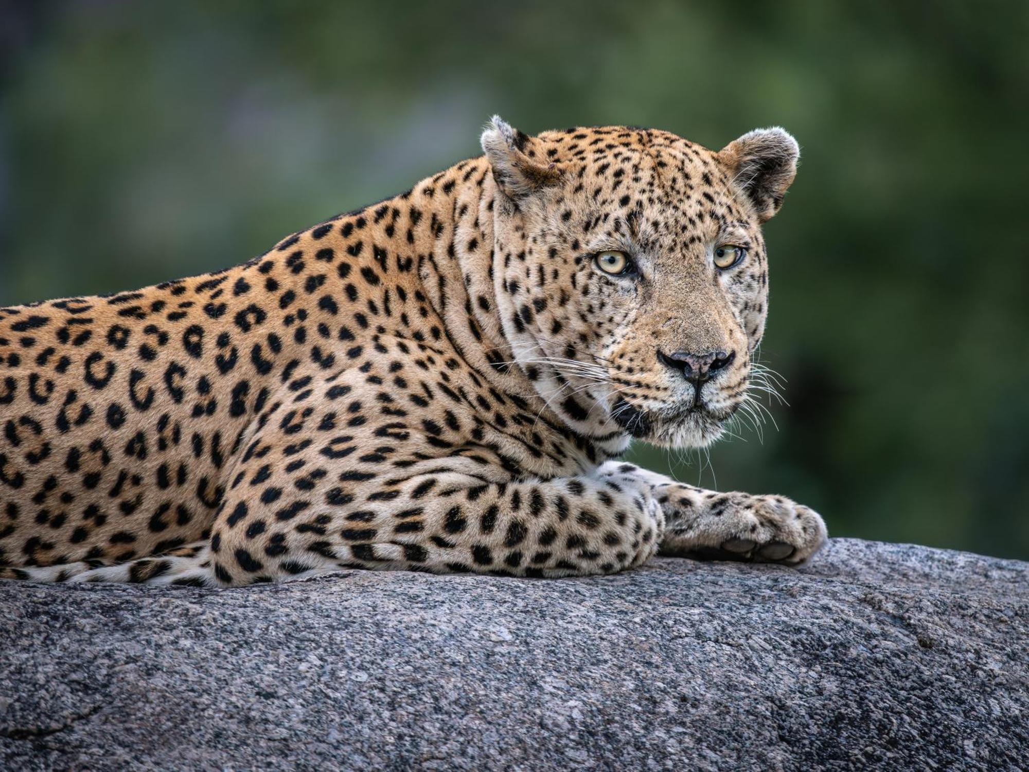 Nyati Safari Lodge 호에드스프뤼트 외부 사진